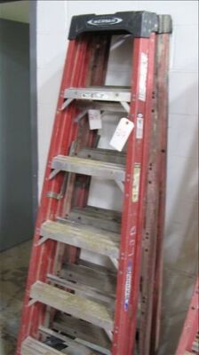 2--asst 6 ft. Fiberglass ladders *** PLEASE NOTE: This lot is offered subject to bulk bid offer on lot 118